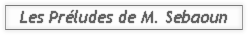 Les Préludes de M. Sebaoun